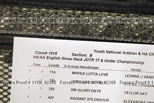Proof 11yn_02308