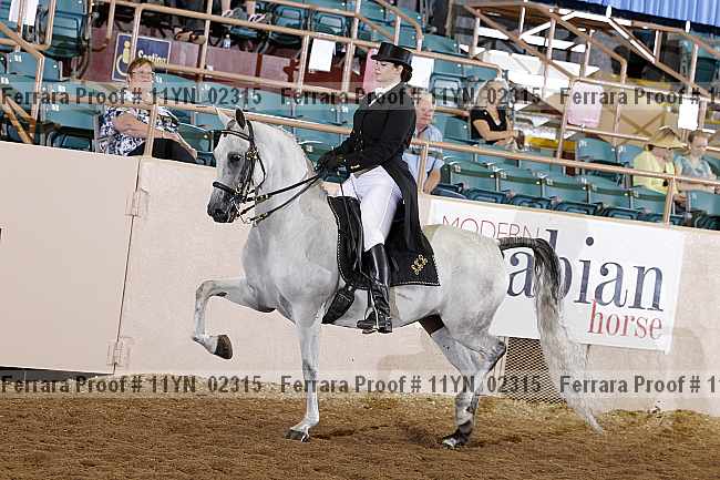 Proof 11yn_02315