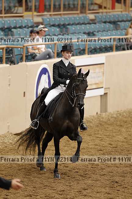 Proof 11yn_02318
