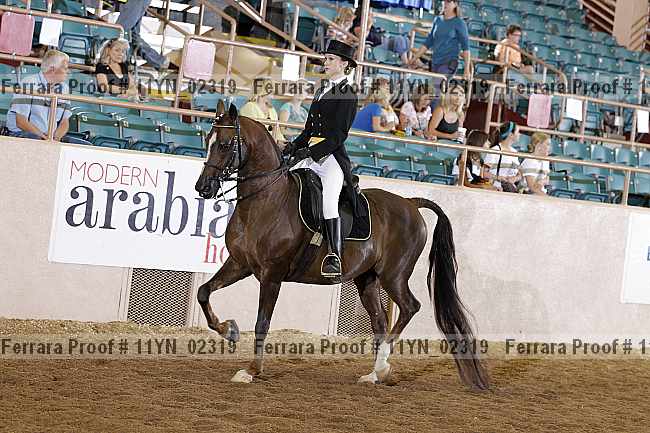 Proof 11yn_02319