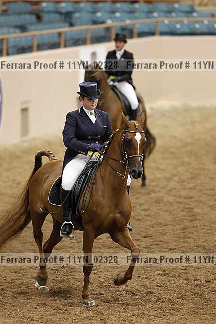 Proof 11yn_02328