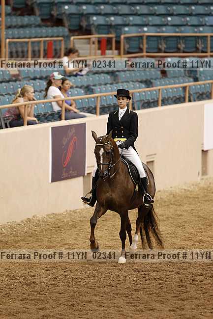 Proof 11yn_02341