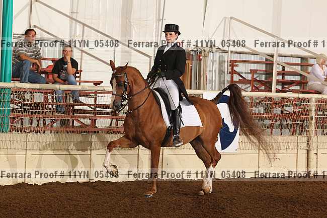 Proof 11yn_05408