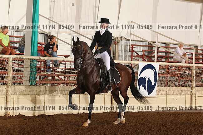 Proof 11yn_05409