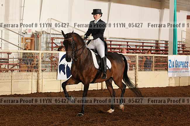Proof 11yn_05427