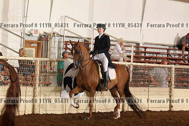 Proof 11yn_05431