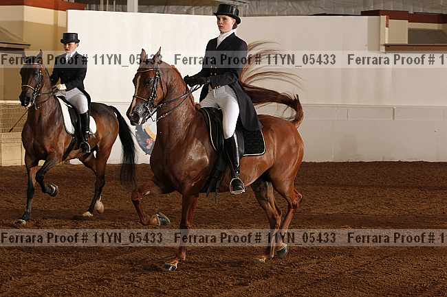 Proof 11yn_05433