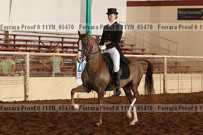Proof 11yn_05470