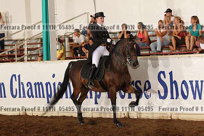 Proof 11yn_05495