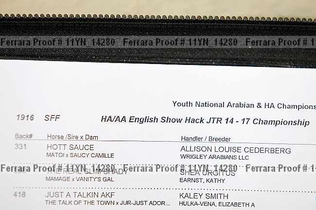 Proof 11yn_14280