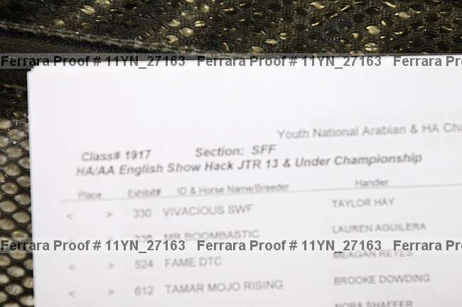 Proof 11yn_27163