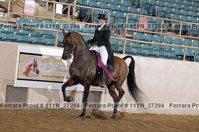 Proof 11yn_27284
