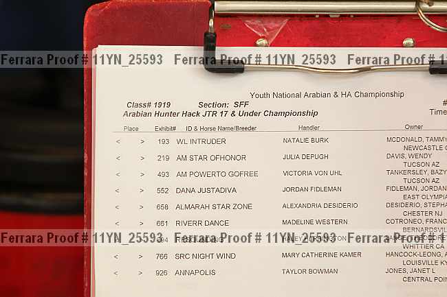 Proof 11yn_25593