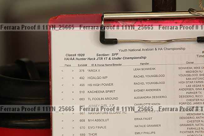 Proof 11yn_25665