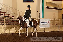 11yn_25684 proof