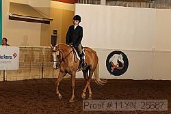 11yn_25687 proof