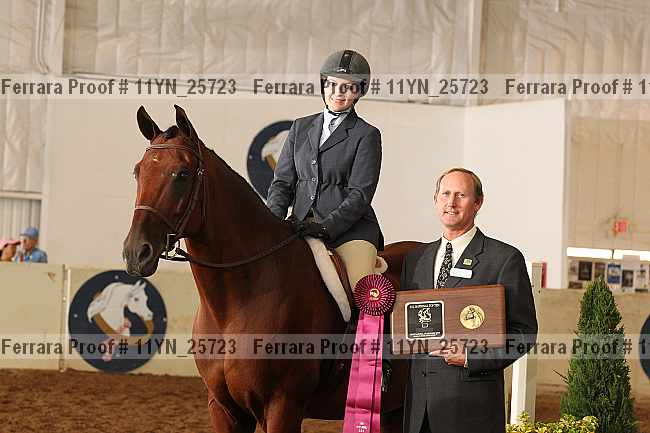 Proof 11yn_25723