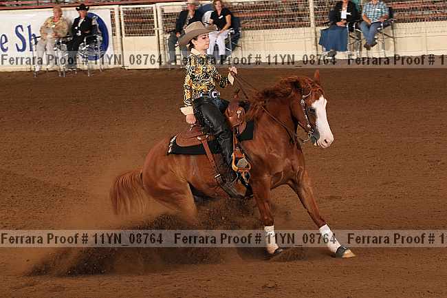 Proof 11yn_08764