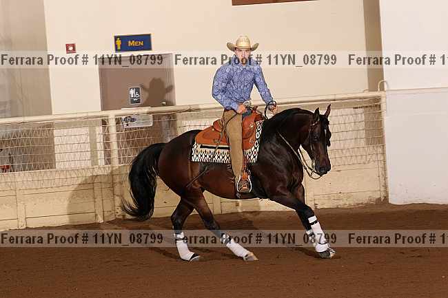 Proof 11yn_08799