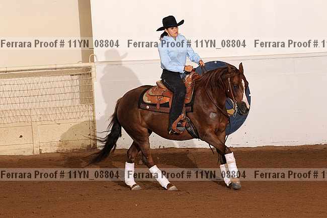Proof 11yn_08804