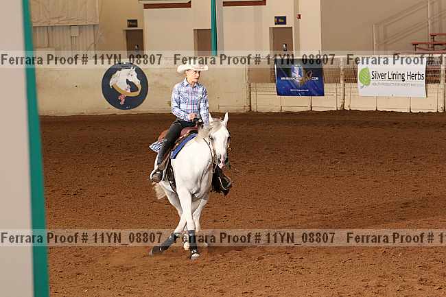 Proof 11yn_08807