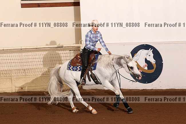 Proof 11yn_08808