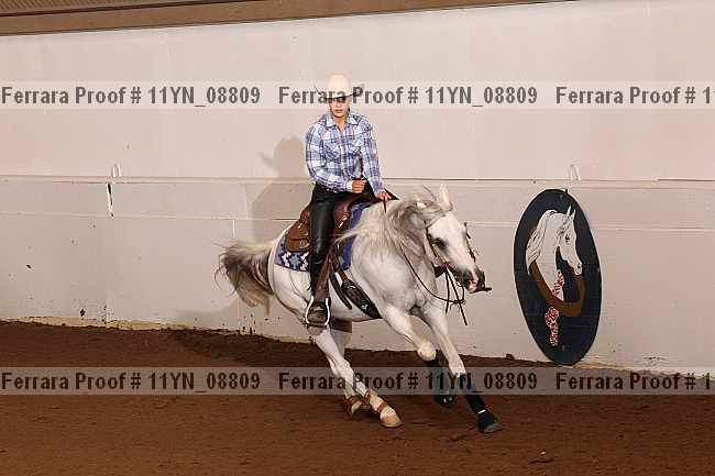Proof 11yn_08809