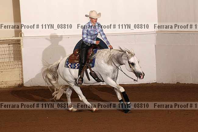 Proof 11yn_08810