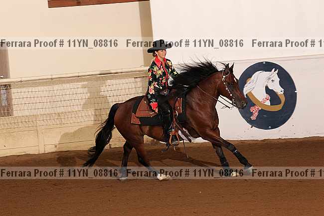 Proof 11yn_08816