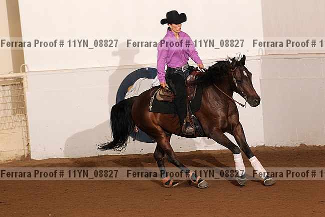 Proof 11yn_08827