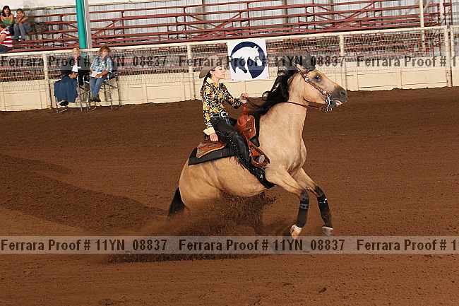 Proof 11yn_08837