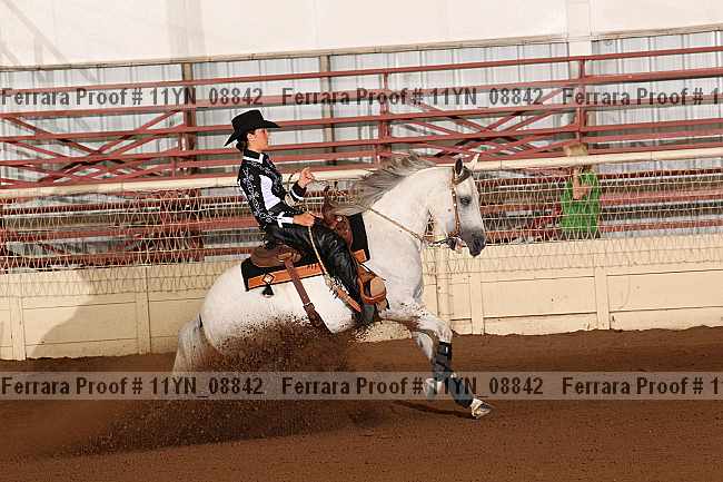 Proof 11yn_08842