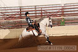 11yn_08842 proof