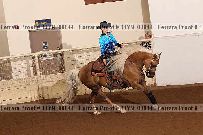Proof 11yn_08844