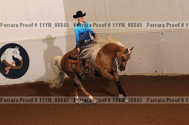 Proof 11yn_08845