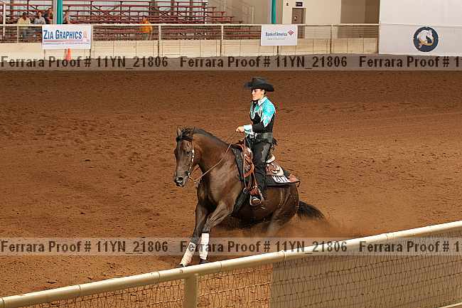 Proof 11yn_21806