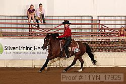 11yn_17925 proof