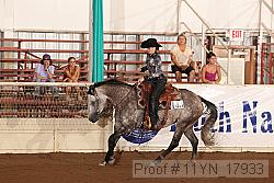 11yn_17933 proof