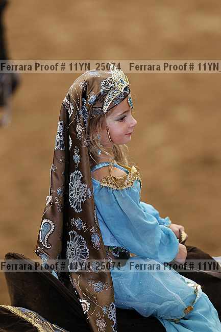 Proof 11yn_25074