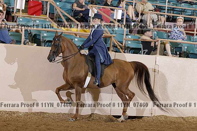 Proof 11yn_07460