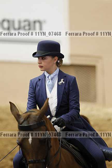 Proof 11yn_07468