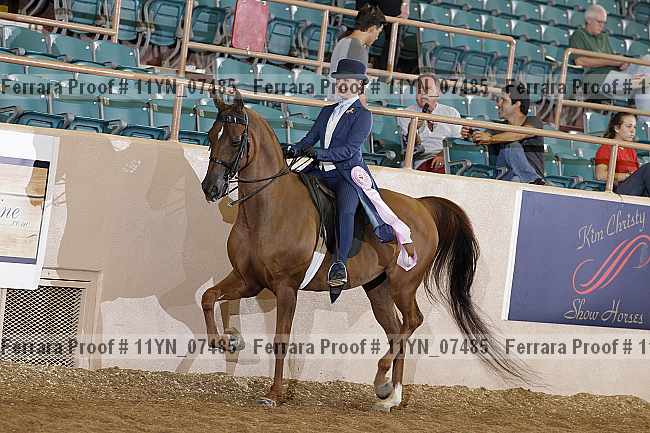 Proof 11yn_07485