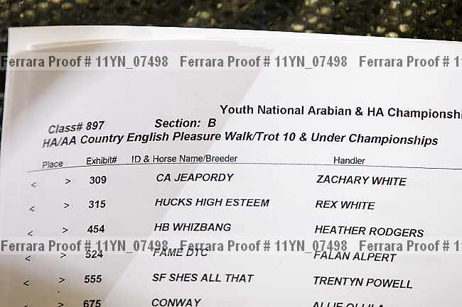 Proof 11yn_07498
