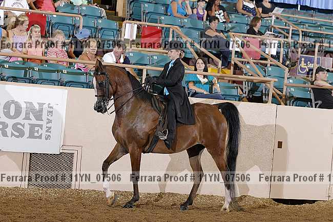 Proof 11yn_07506