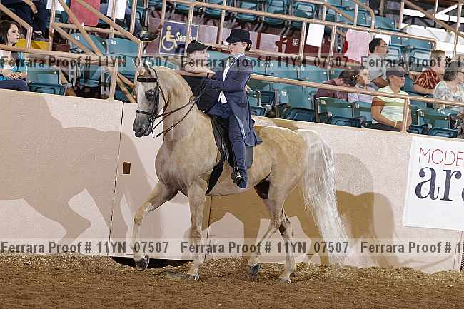 Proof 11yn_07507