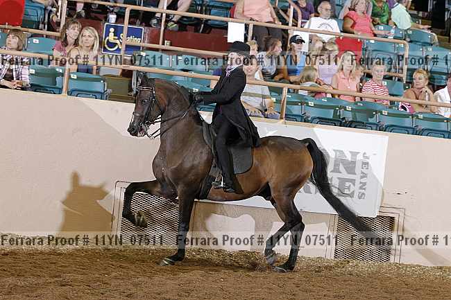Proof 11yn_07511