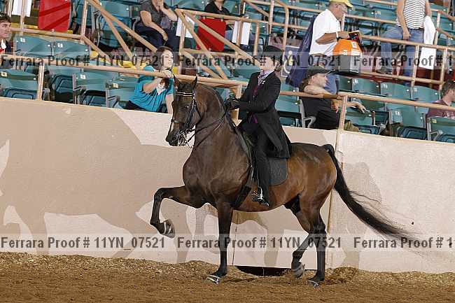 Proof 11yn_07521