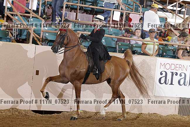 Proof 11yn_07523