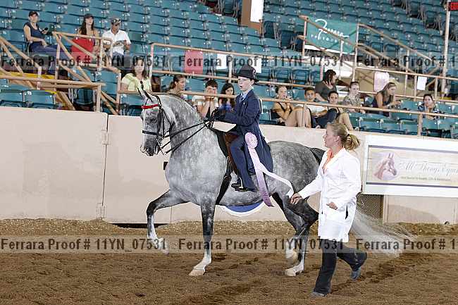 Proof 11yn_07531