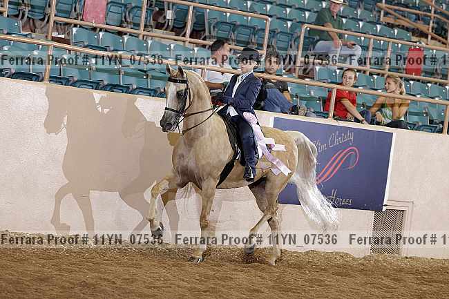 Proof 11yn_07536